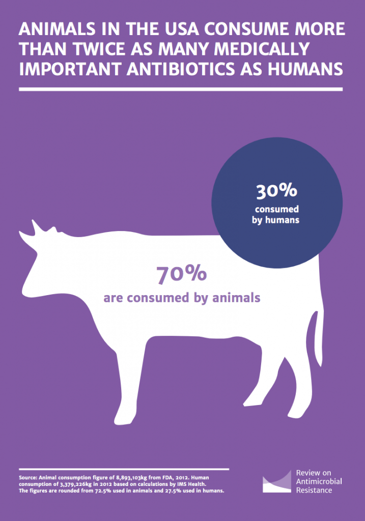 Antibiotics are essential to human health. So why are we wasting them ...